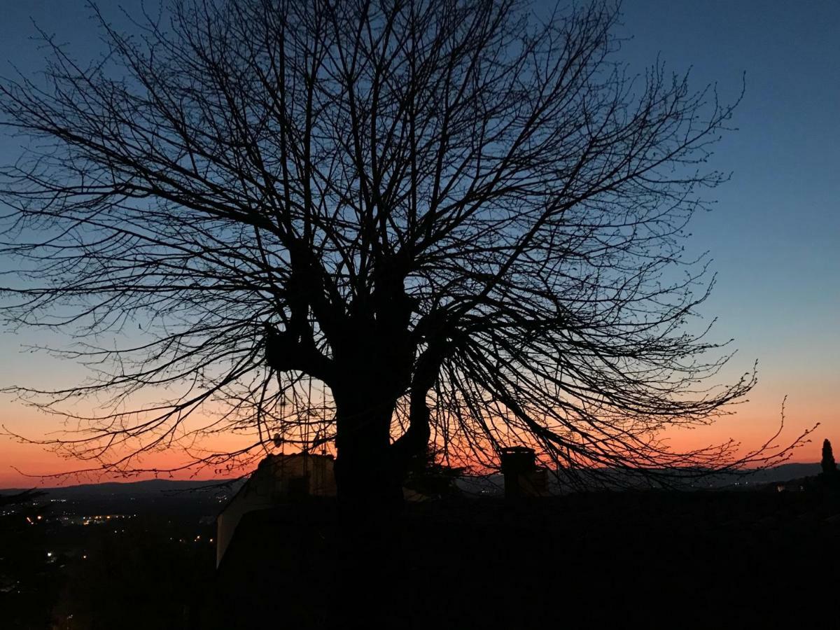 VACANZE RELAX e CULTURA in TOSCANA Castiglion Fiorentino Esterno foto